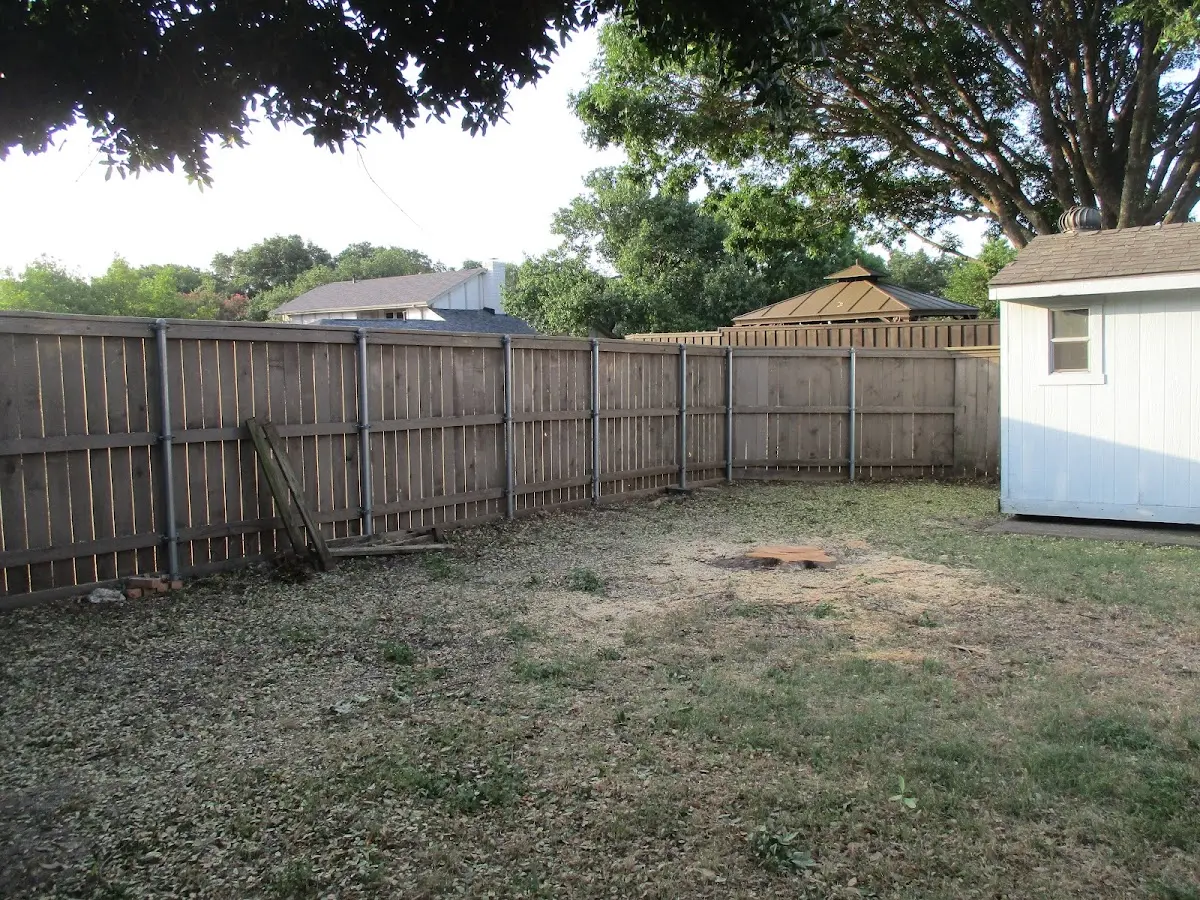 Cleared yard after professional tree removal in Enfield